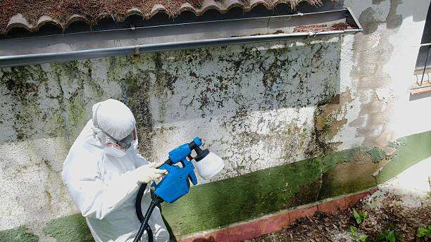 Top rated local Mold Testing specialists in Waynesboro, GA